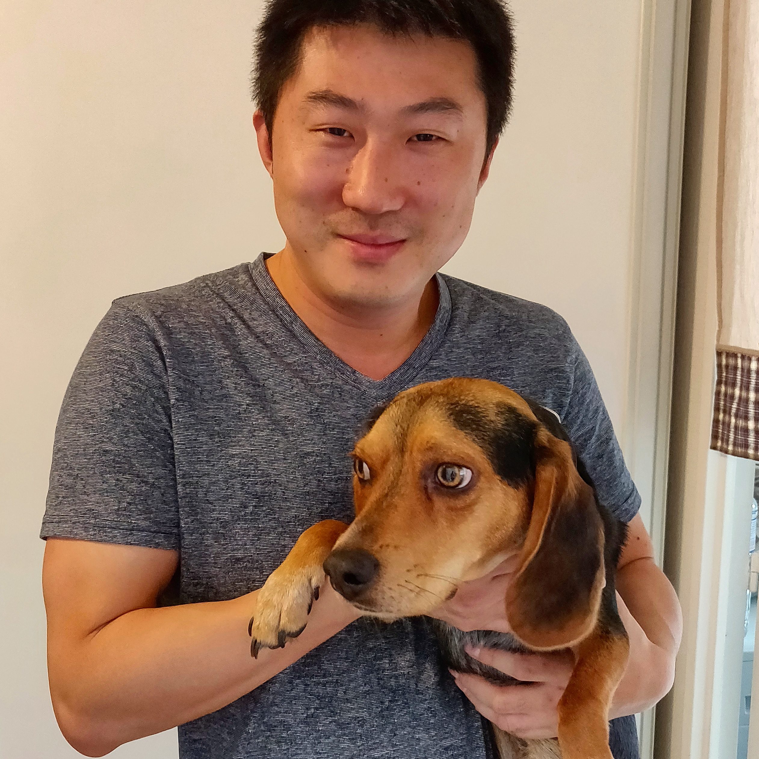 dogtector punaises de lit chien détecteur renifleur traitement vapeur puce de lit