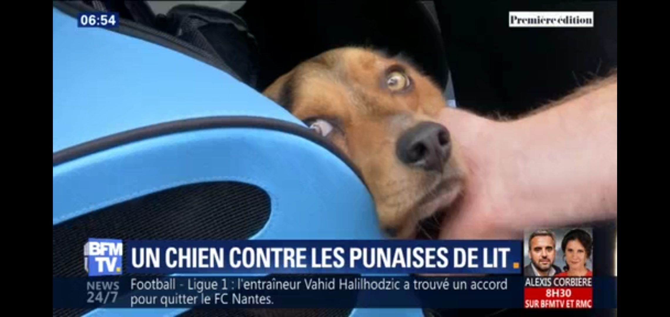 Screenshot_20190802-120931