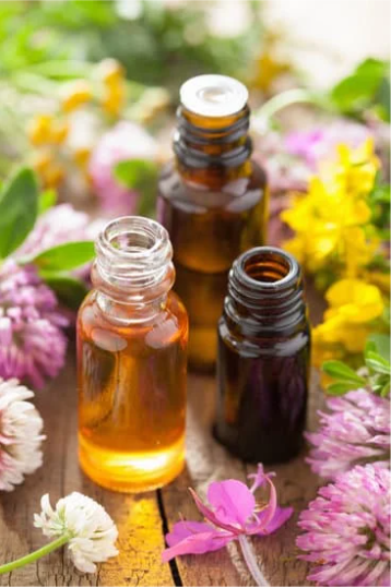 Bouteilles d’huiles essentielles naturelles entourées de fleurs, utilisées pour leurs propriétés répulsives et médicinales.