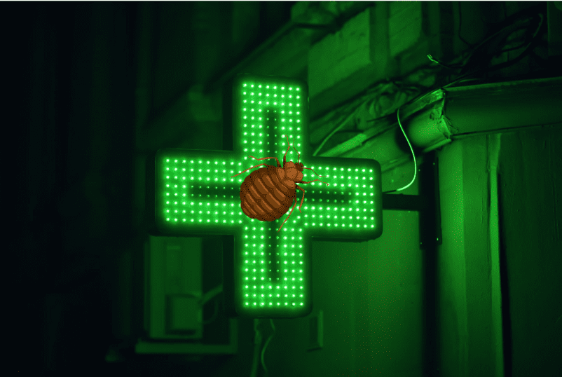 traitement punaise de lit en pharmacie
