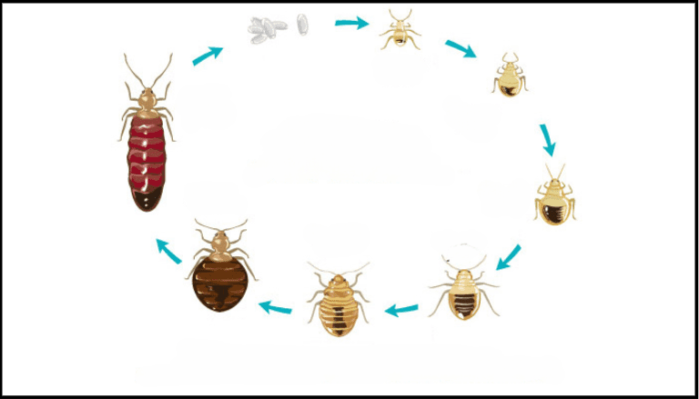Capture d'écran 2025-03-18 092451