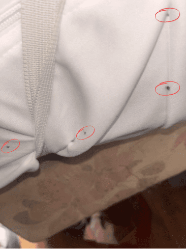 Petites taches noires suspectes sur un matelas blanc, pouvant être des traces de punaises de lit.