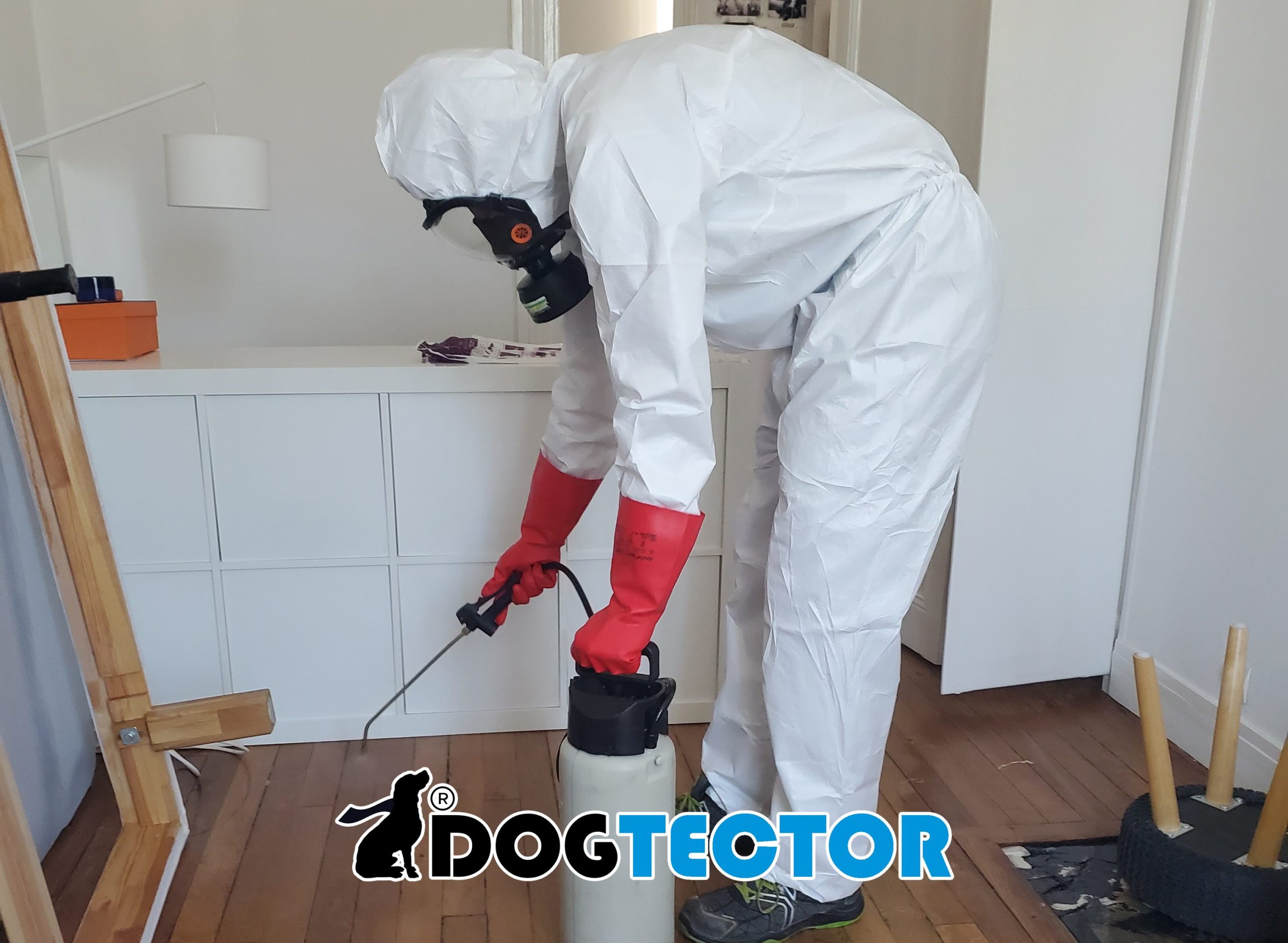 DESINFECTION-PUNAISE-2