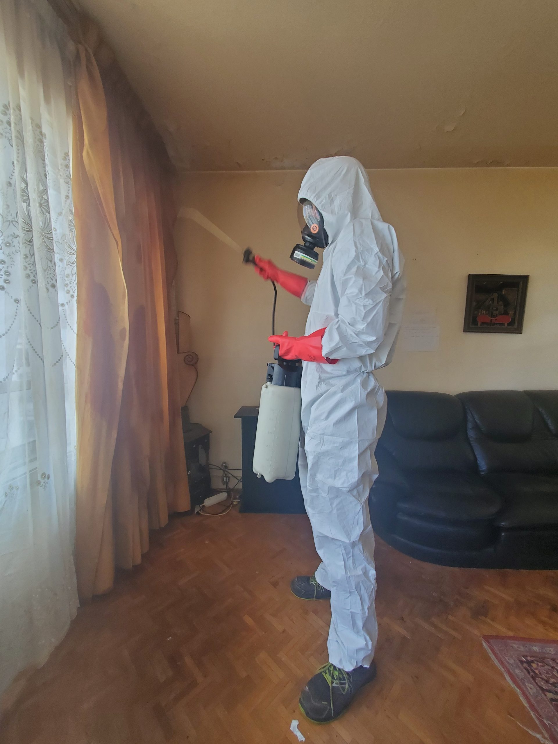 Processus de désinfection par pulvérisation chimique de produit biocide sur les zones infectés.