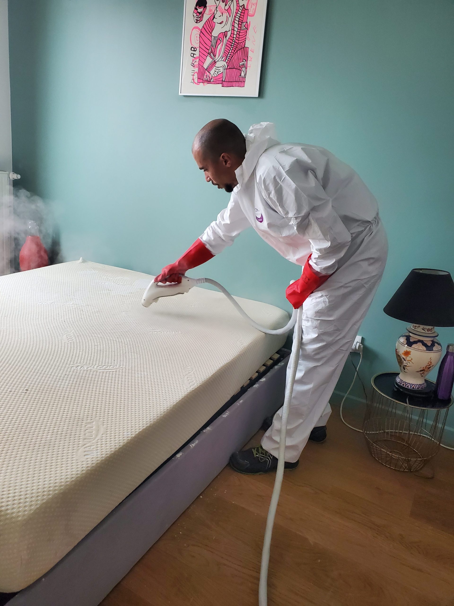 Professionnel de la désinsectisation de la punaise de lit