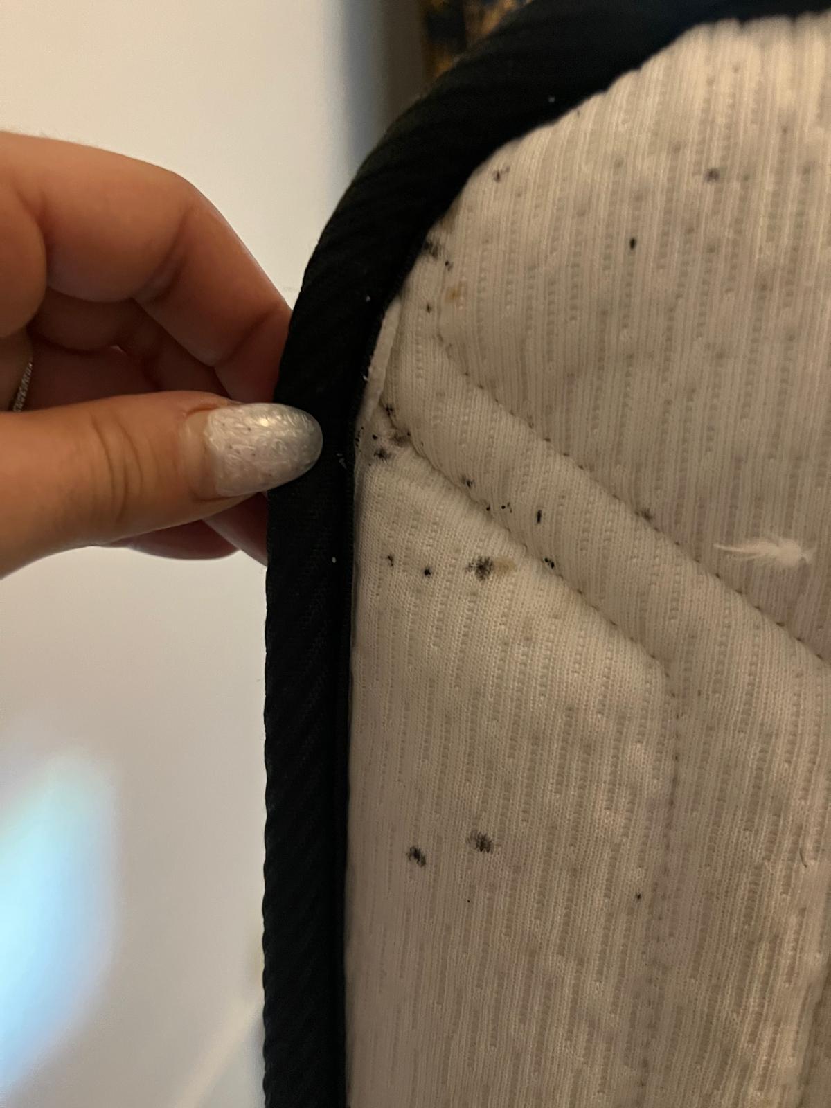 Trace de déjection de punaises de lit sur le matealas