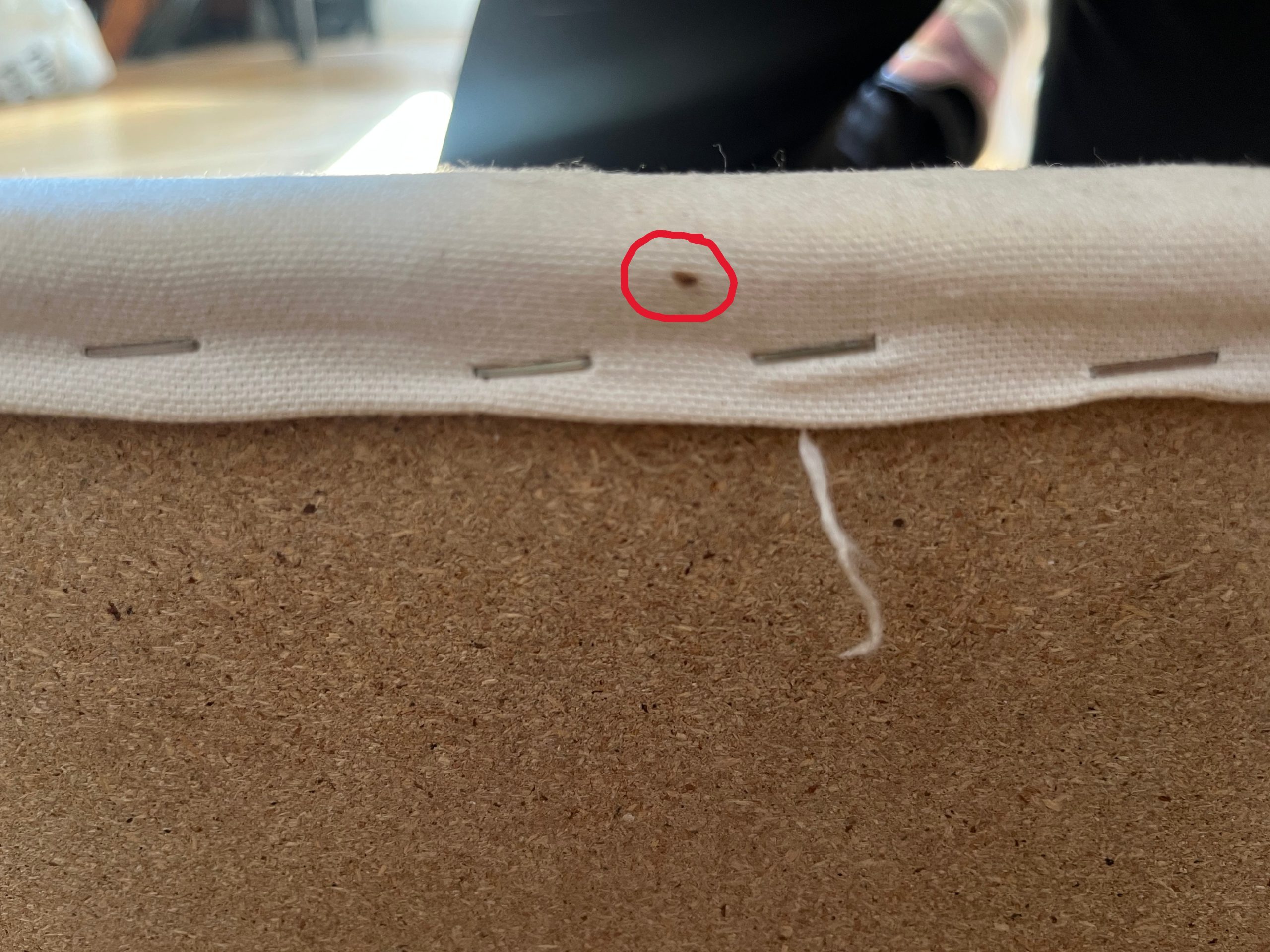 Photo 07-06-2024 17 05 09