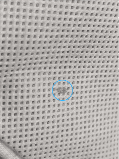 Punaise de lit visible sur un matelas à Paris.