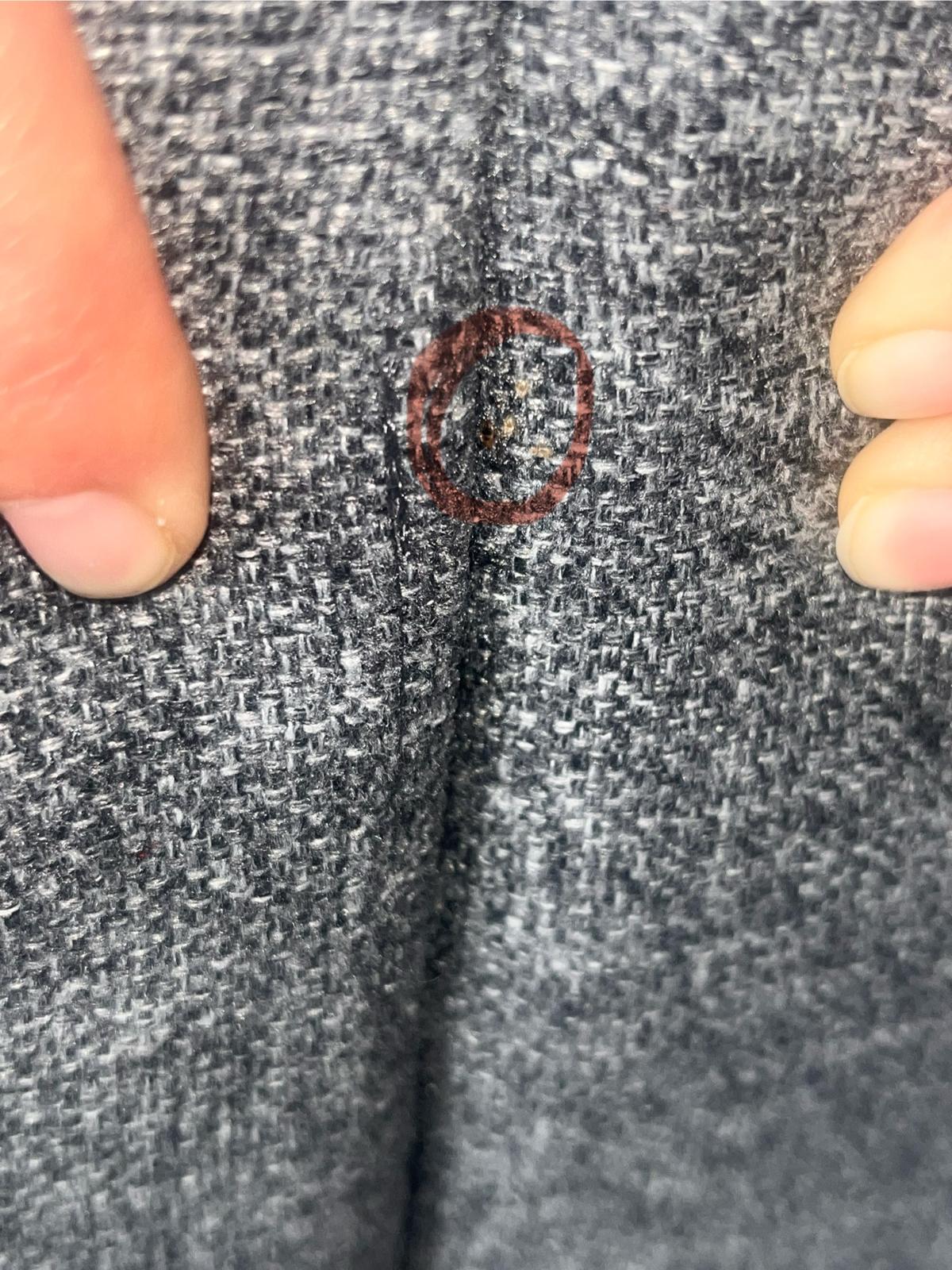 Punaises de lit repérées dans une couture de tissu, illustrant l'importance des inspections minutieuses dans les hôtels.