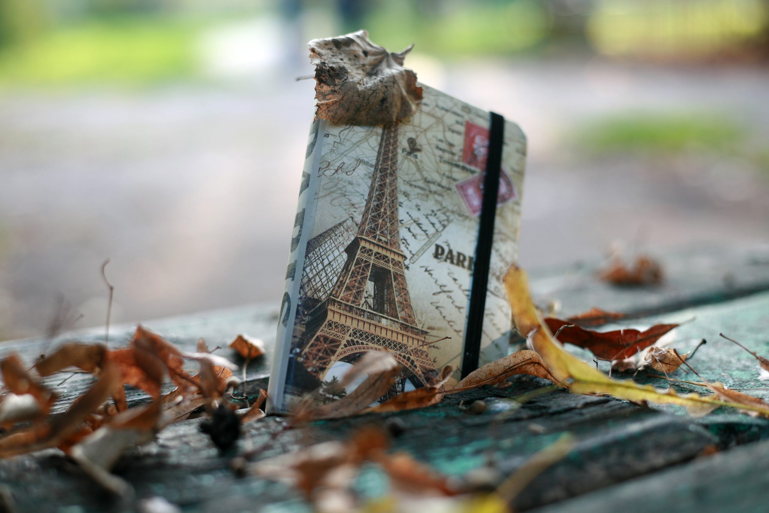 Carnet à thème Paris avec la tour Eiffel entouré de feuilles d'automne.