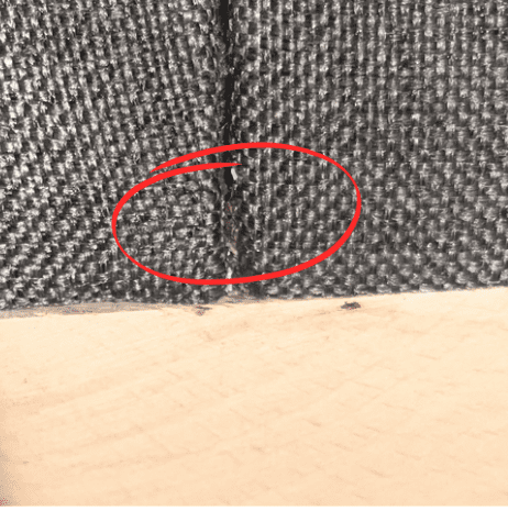 Punaise de lit localisée dans une couture de tissu, entourée d'un cercle rouge pour mise en évidence.