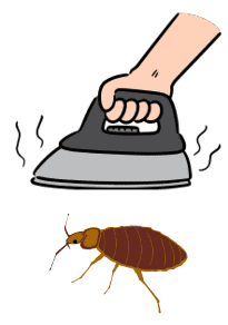 Illustration montrant un fer à repasser éliminant une punaise de lit.