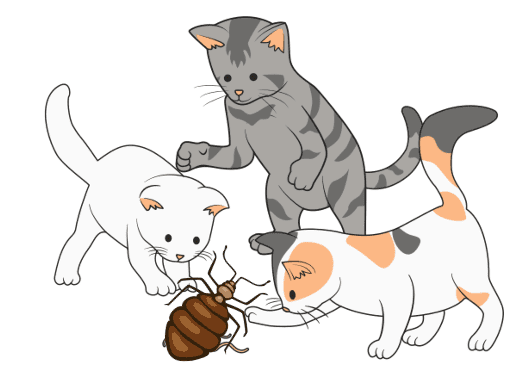 Trois chats jouant avec une punaise de lit, illustration humoristique.