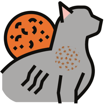 Illustration d'un chat avec des signes de parasites ou d'infection cutanée.