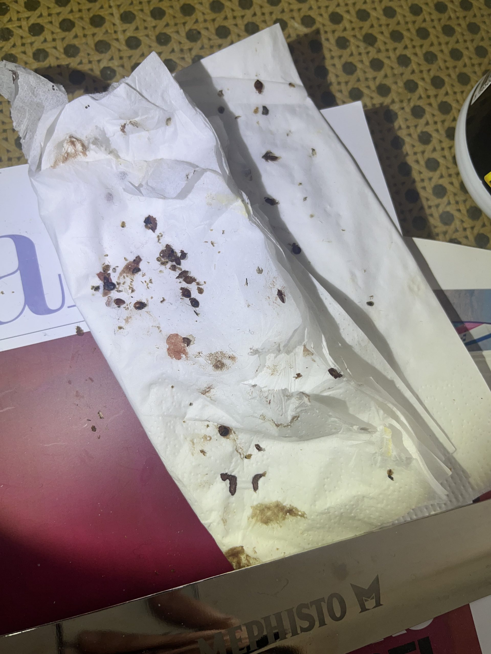 Serviette en papier avec des taches et des débris, traces d'excréments de punaises de lit.
