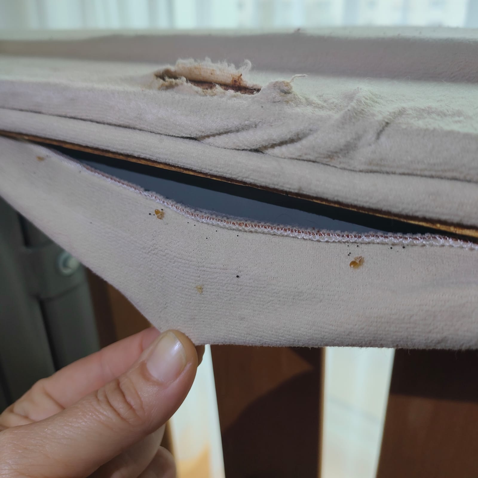 Une inspection de matelas révélant des traces et la présence de punaises de lit sous la housse.