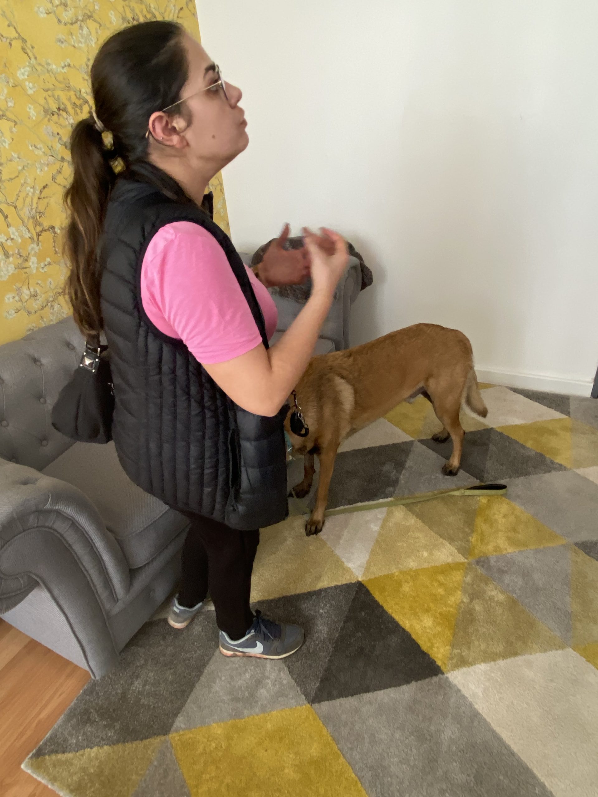 Une femme en pleine discussion pendant une intervention avec un chien de détection de punaises de lit.