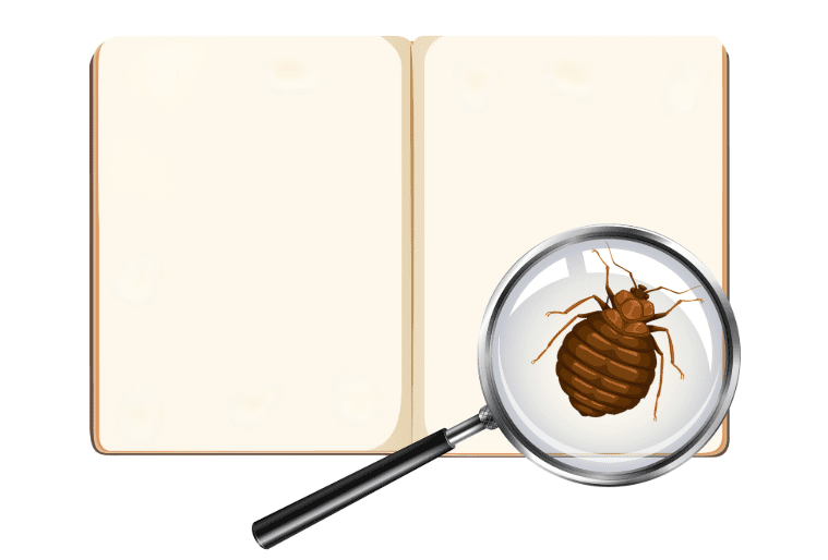 punaise de lit dans les livres.