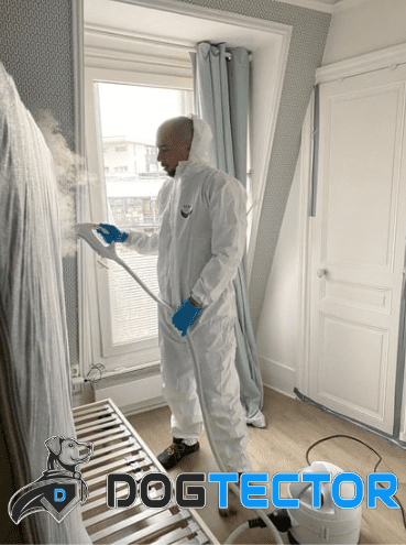 Spécialiste Dogtector traitant un sommier avec de la vapeur pour éradiquer les punaises de lit, logo Dogtector en bas à gauche.