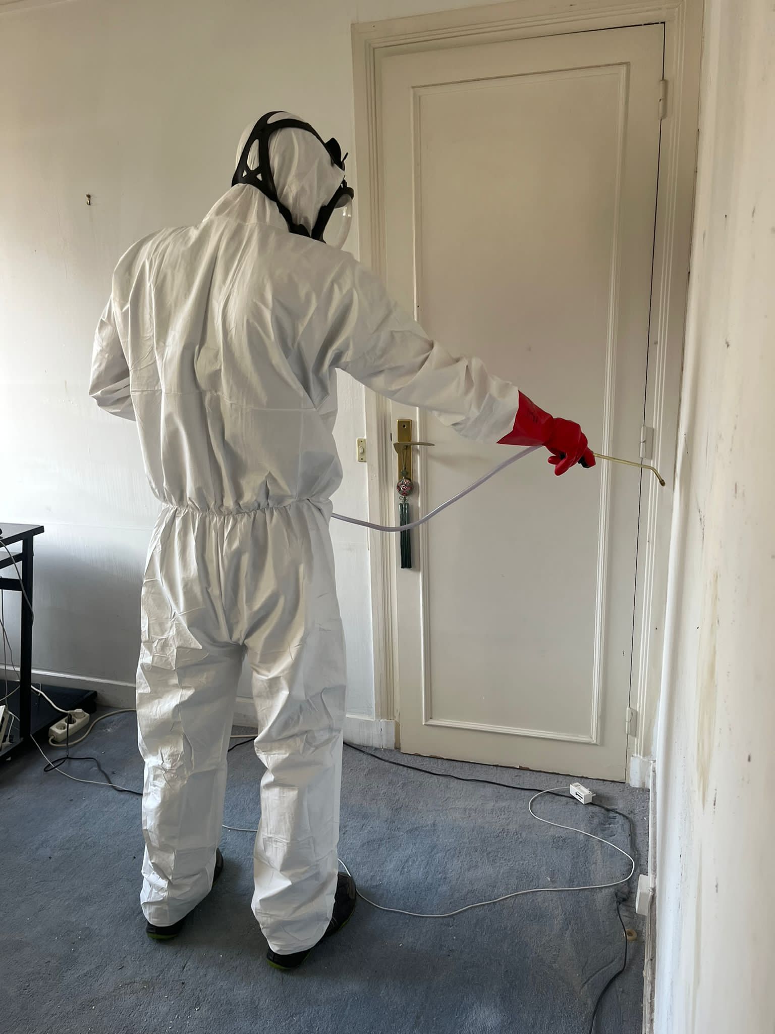 Un technicien utilisant un pulvérisateur pour traiter les murs d’une pièce infestée.