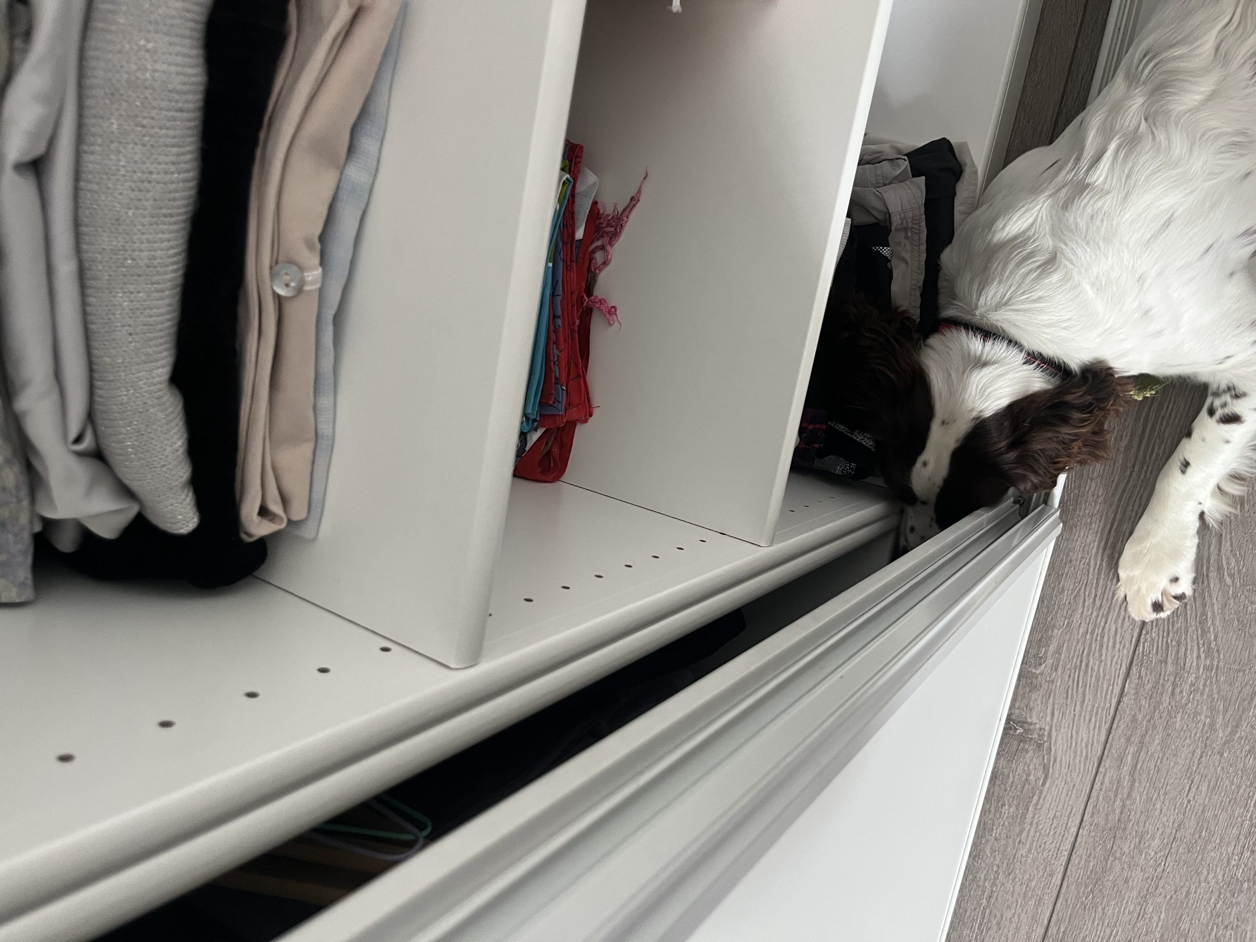 Puis-je aller au travail si j’ai des punaises de lit.