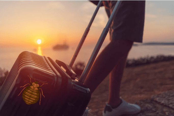 Valise au bord de la mer au coucher du soleil, avec une punaise de lit en surimpression