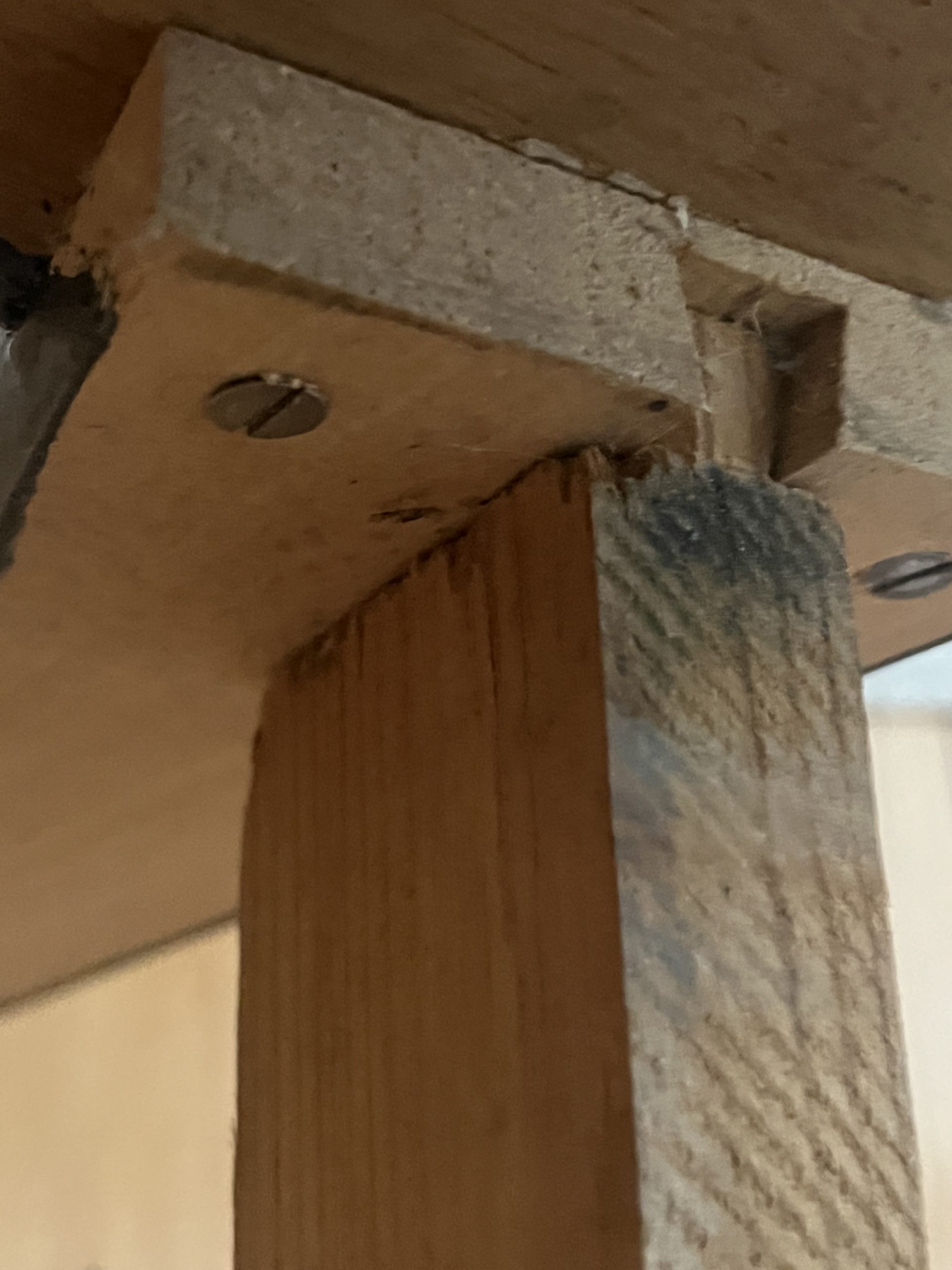 Recoin de meuble en bois, endroit typique où les punaises peuvent se cacher.