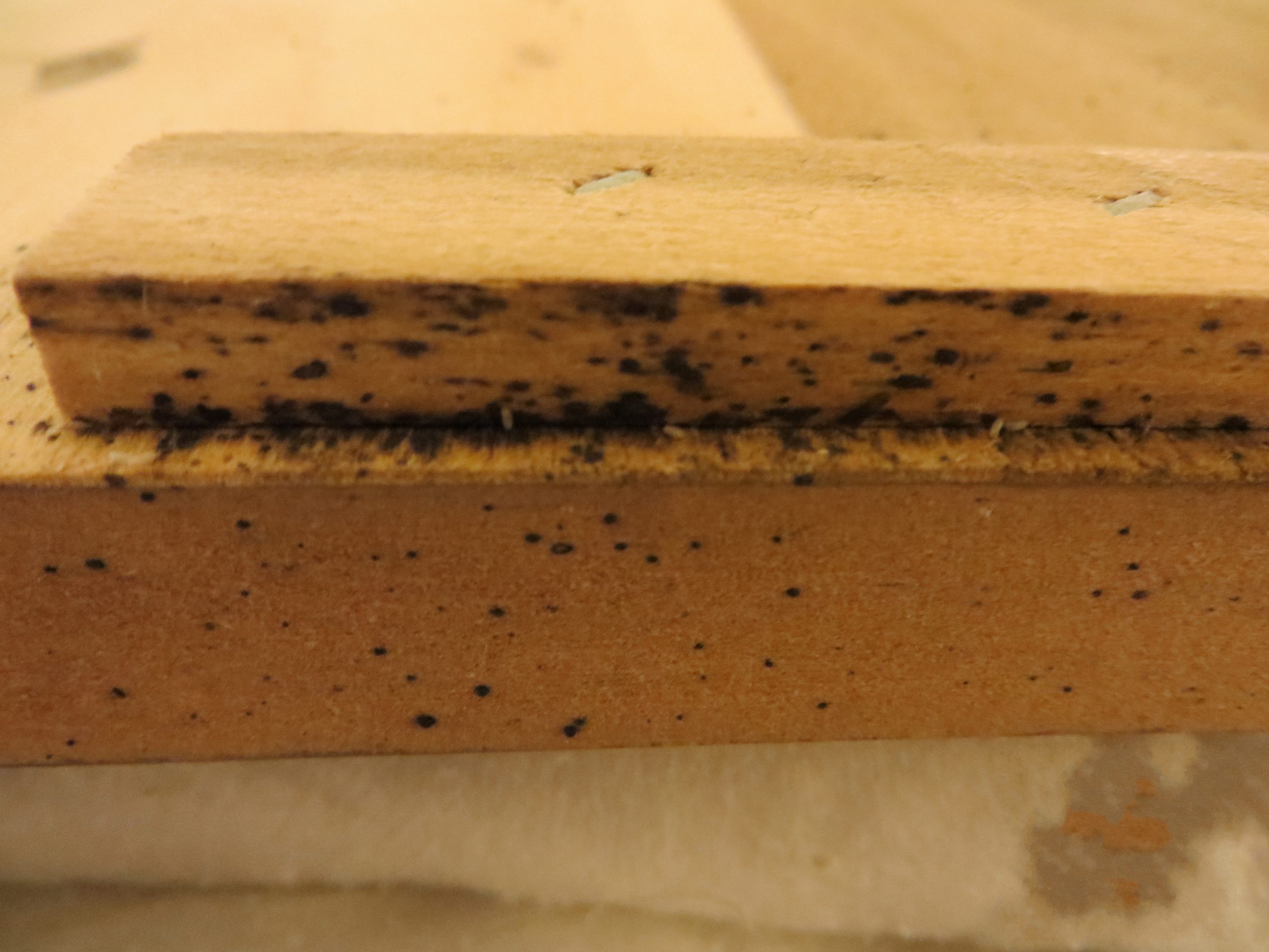 Traces noires de déjections de punaises de lit sur une structure en bois