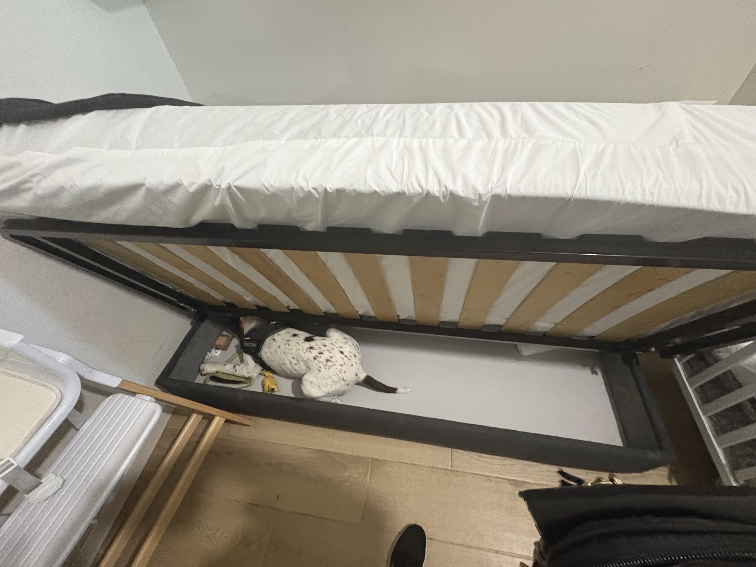 inspection Punaise de lit sous un matelas