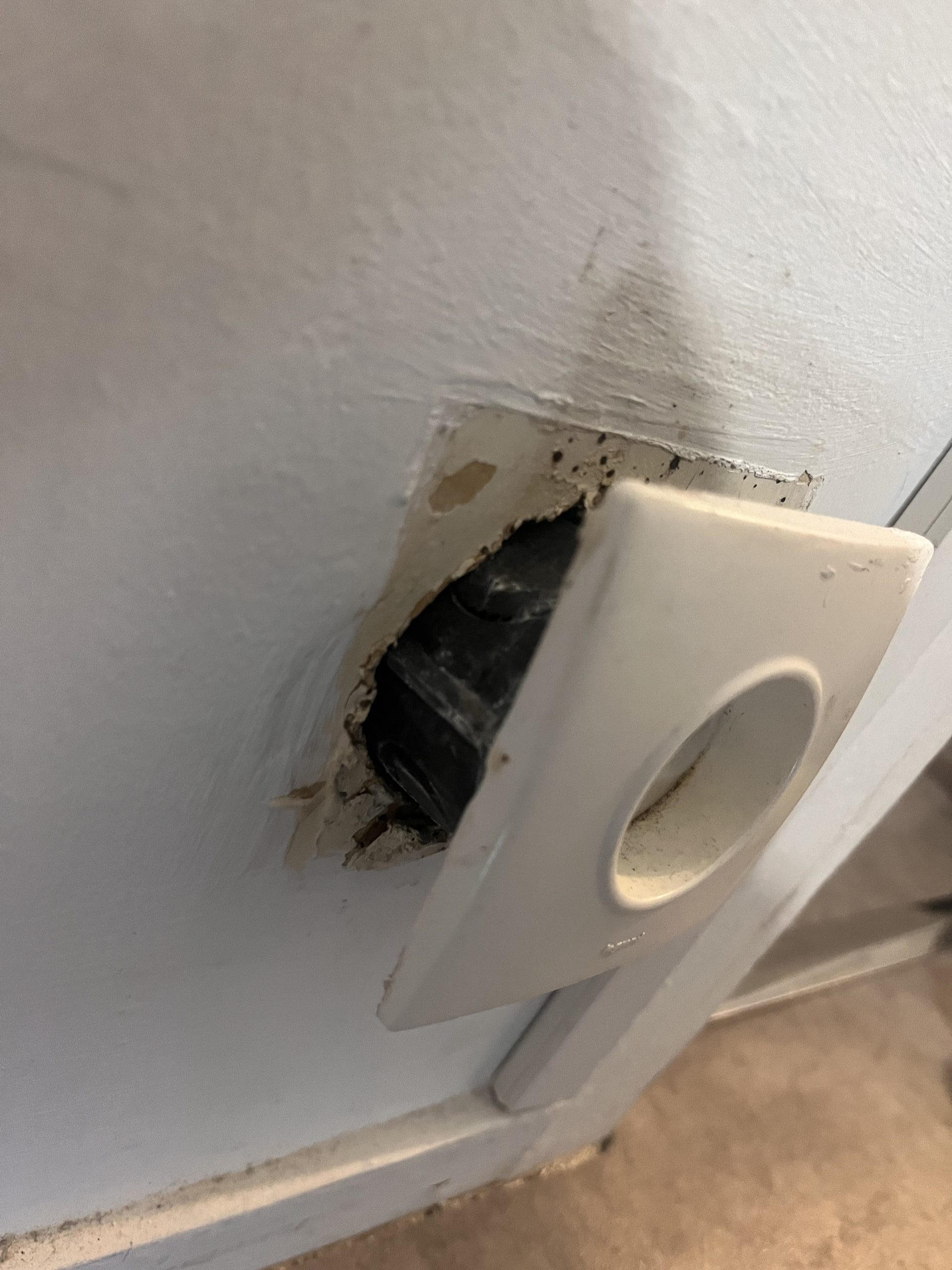 Prise électrique présentant des traces d'infestation de punaises de lit.